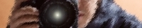 Blog.jpg